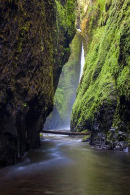 Oneonta, Oregon 'daki Columbia nehir geçidine düştü..