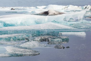 Jokulsarlon Buzul Gölü, İzlanda 'da buzdağları.