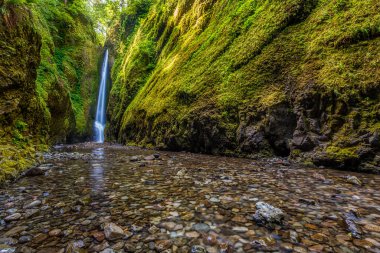 Aşağı Oneonta, Oregon 'daki Columbia River Vadisi' ne düştü..