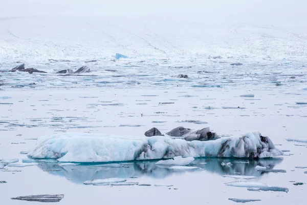 Ijsbergen Jokulsarlon Gletsjerlagune Ijsland Bewolkte Dag — Stockfoto
