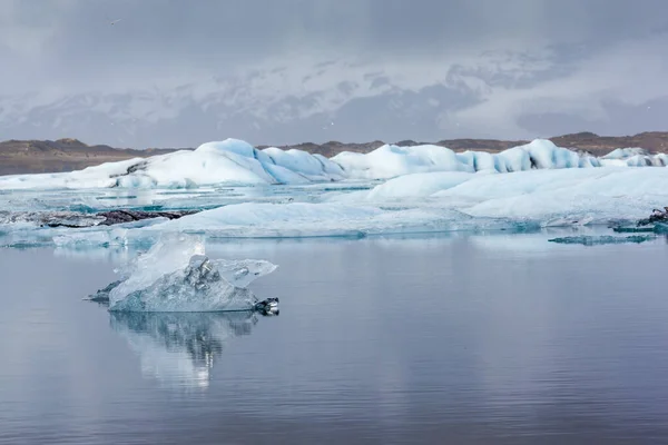 アイスランドのジョクルサロン氷河ラグーンに氷山 — ストック写真
