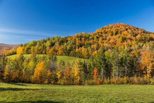 Feuillage Automne Dans Campagne Vermont — Photo