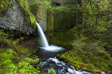 Üstteki at kuyruğu Kolombiya nehir geçidine düştü, Oregon.