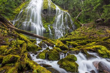 Oregon Ulusal Ormanı, Willamette Ulusal Ormanı, ABD 'de Güzel Vekil Şelalesi