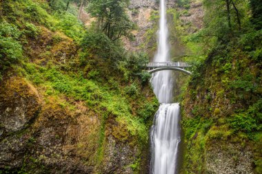 Ünlü Multnomah, Oregon 'daki Columbia nehir geçidine düştü..