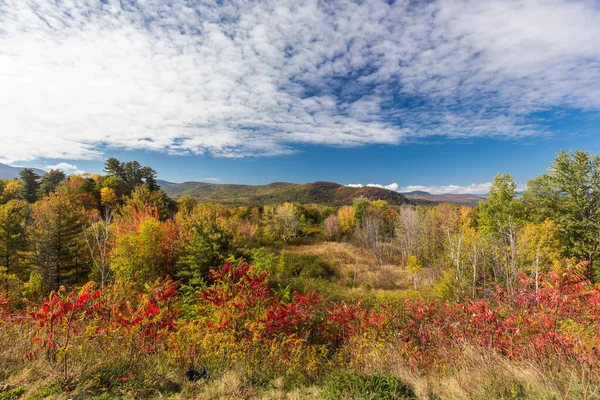 Barevné Bílé Hory Národní Les Podzim New Hampshire — Stock fotografie