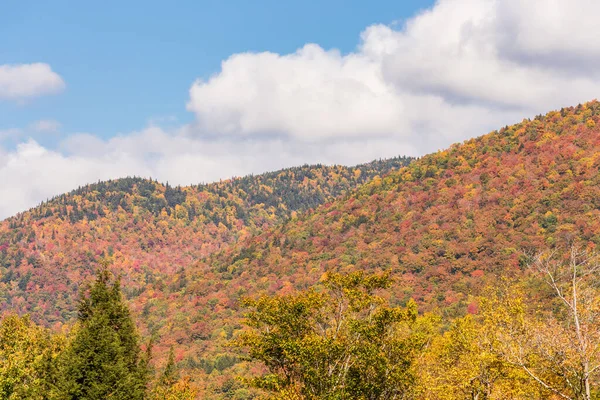 Feuillage Automne Dans Forêt Nationale White Mountain New Hampshire — Photo