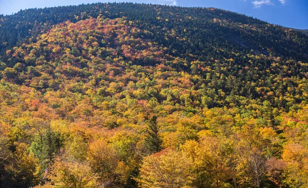 Красочный Осенний Пейзаж Национальном Лесу Уайт Маунтин Нью Гэмпшир — стоковое фото