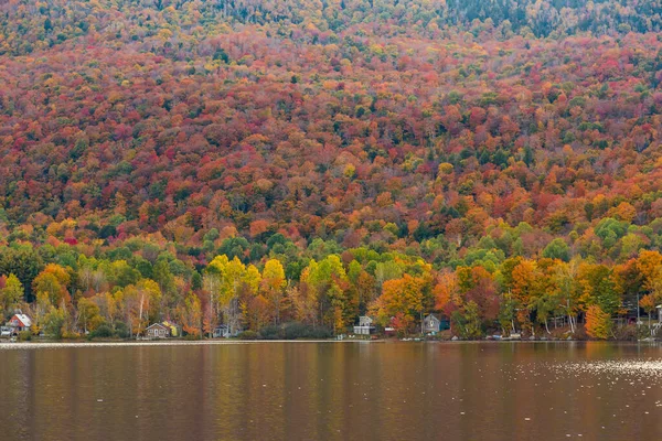 Beau Feuillage Automne Cabanes Elmore State Park Vermont — Photo