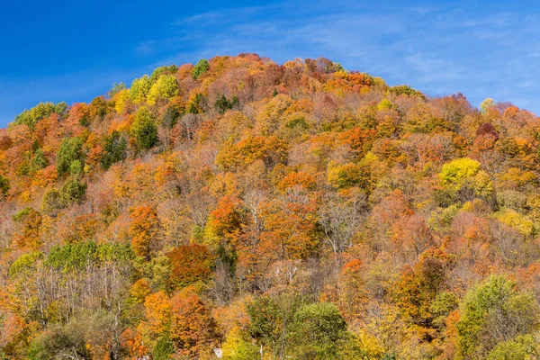 Kleurrijke Herfstloofberg Vermont — Stockfoto