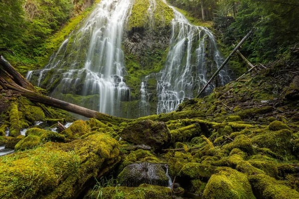 Proxy Falls Oregon Esőerdő Willamette Nemzeti Erdő Usa — Stock Fotó