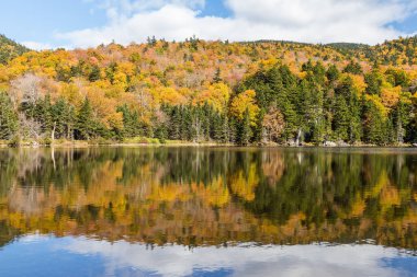 New Hampshire 'daki White Mountain Ulusal Ormanı' nda renkli sonbahar manzarası ve yansıması.
