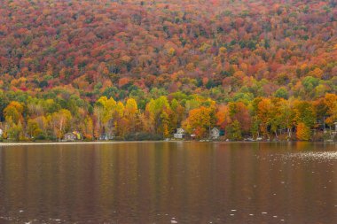 Vermont, Elmore Eyalet Parkı 'ndaki güzel sonbahar yeşillikleri ve kulübeleri.
