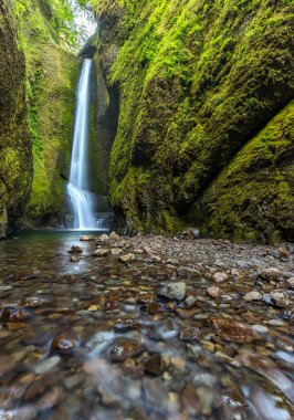 Oregon, Oneonta Vadisi 'ndeki şelaleler..