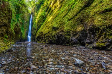 Aşağı Oneonta, Oregon 'daki Columbia River Vadisi' ne düştü..