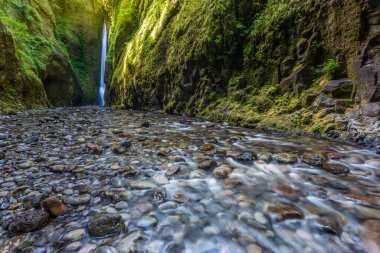 Oneonta, Oregon 'daki Oneonta Vadisi' ne düştü.