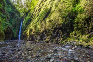 Oneonta, Oregon 'daki Oneonta Vadisi' ne düştü.