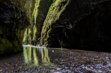 Oregon, Oneonta Vadisi 'nde yürüyüş.