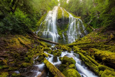 Güzel Vekil Oregon sise düştü.