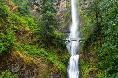 Ünlü Multnomah, Oregon 'daki Columbia nehir geçidine düştü..