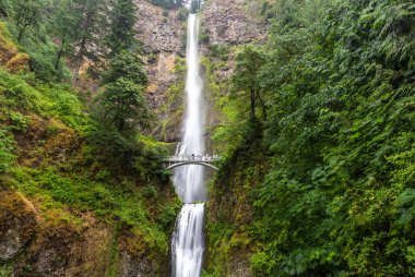 Ünlü Multnomah, Oregon 'daki Columbia nehir geçidine düştü..