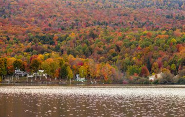 Vermont, Elmore Eyalet Parkı 'ndaki güzel sonbahar yeşillikleri ve kulübeleri.