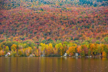 Vermont, Elmore Eyalet Parkı 'ndaki güzel sonbahar yeşillikleri ve kulübeleri.