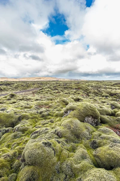 Lava Stenar Täckta Med Mossa Island — Stockfoto