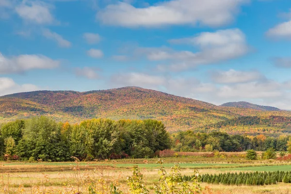 Kleurrijke Berg Maine Herfst — Stockfoto