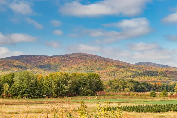 Montagne Colorée Dans Maine Automne — Photo