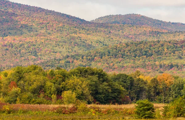 Montagne Colorée Dans Maine Automne — Photo