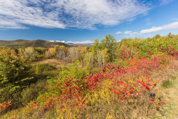 Kleurrijke Witte Berg Nationaal Bos Herfst New Hampshire — Stockfoto