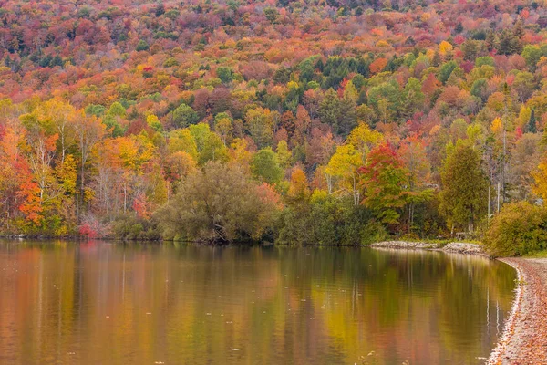 Folhagem Outono Reflexão Vermont Elmore Parque Estadual — Fotografia de Stock