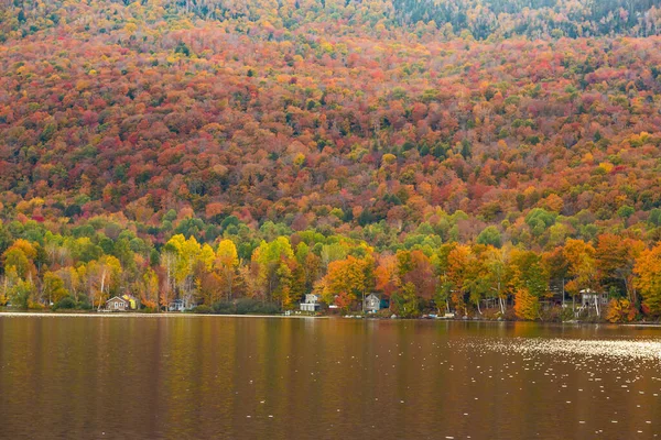 Bela Folhagem Outono Cabanas Parque Estadual Elmore Vermont — Fotografia de Stock