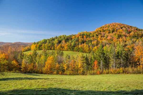 Feuillage Automne Dans Campagne Vermont — Photo