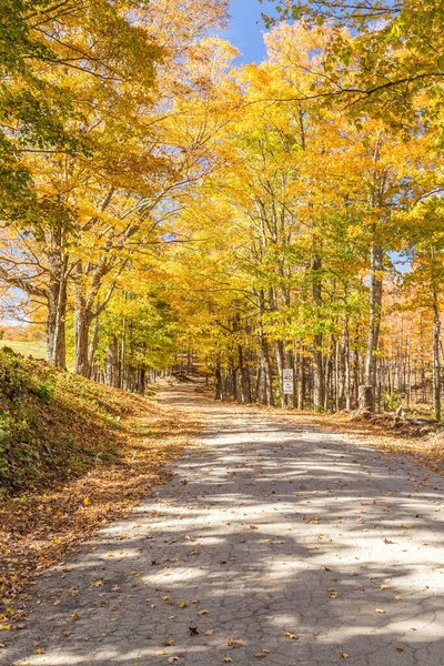 Route Campagne Automne Vermont — Photo