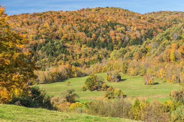Feuillage Des Chutes Petite Cabane Dans Campagne Vermont — Photo
