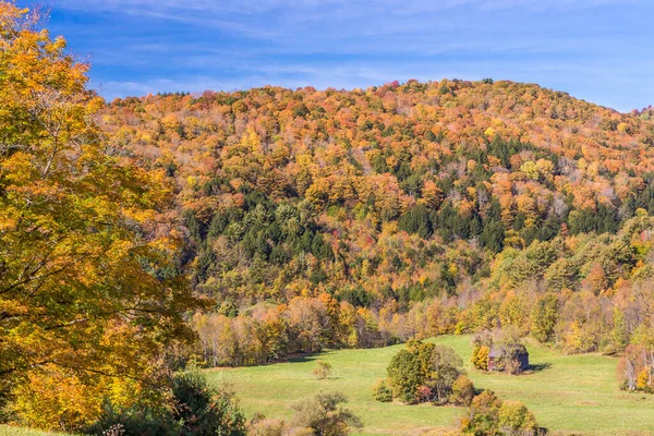 Feuillage Automne Dans Campagne Vermont — Photo