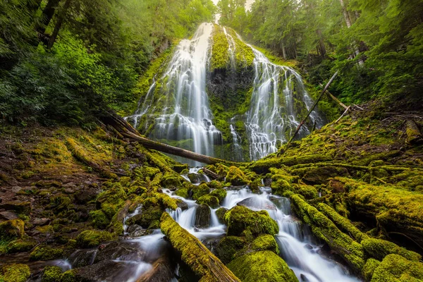 Güzel Vekil Oregon sise düştü.