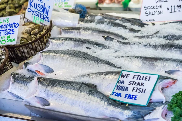 Fresh Whole Sockeye Salmons Pike Place Market — 图库照片