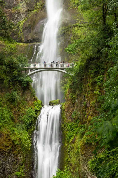 Famosa Multnomah Cai Desfiladeiro Rio Columbia Oregon — Fotografia de Stock