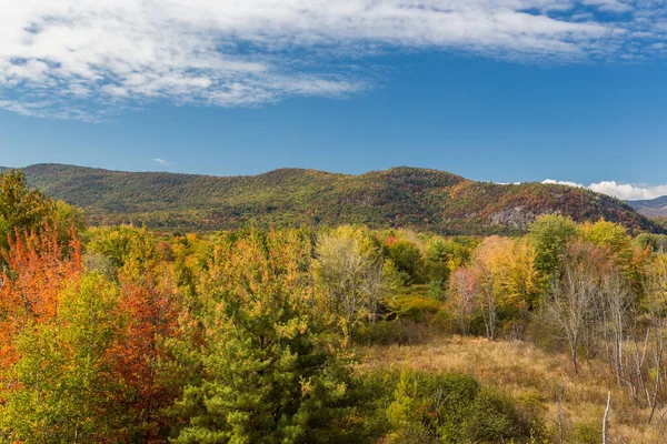 ニューハンプシャー州の秋の白い山国立の森 — ストック写真