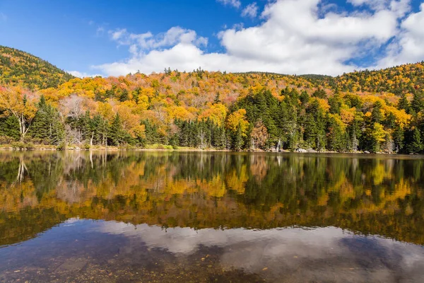 Paisagem Outono Colorido Reflexão White Mountain National Forest New Hampshire — Fotografia de Stock