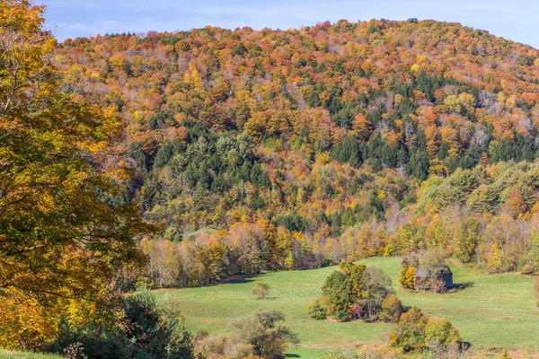 Feuillage Des Chutes Petite Cabane Dans Campagne Vermont — Photo