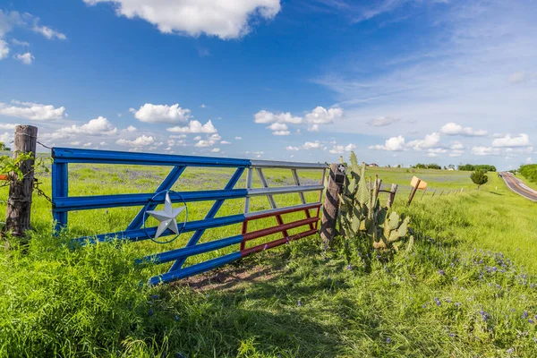 Texas kırsalında mavi başlık ve mavi gökyüzü