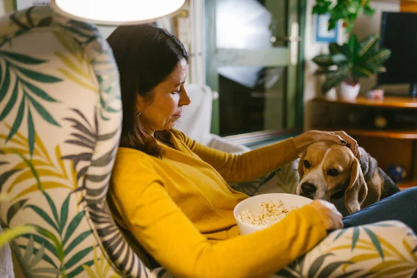 Kvinna Sitter Soffa Hemma Och Leker Med Sin Hund — Stockfoto