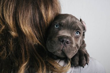 Baston Corso köpeğini tutan kadına yaklaş.