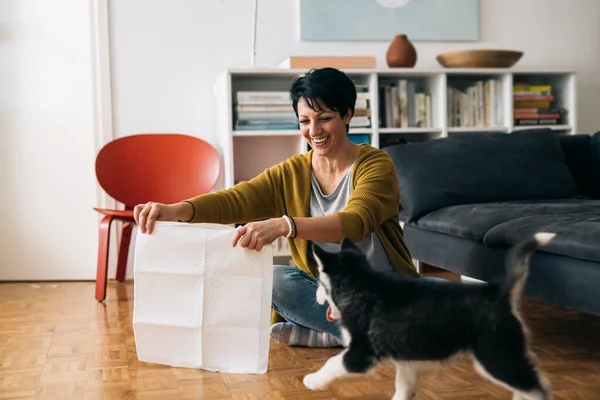 Frau Lehrt Ihren Hund Windeln Benutzen — Stockfoto