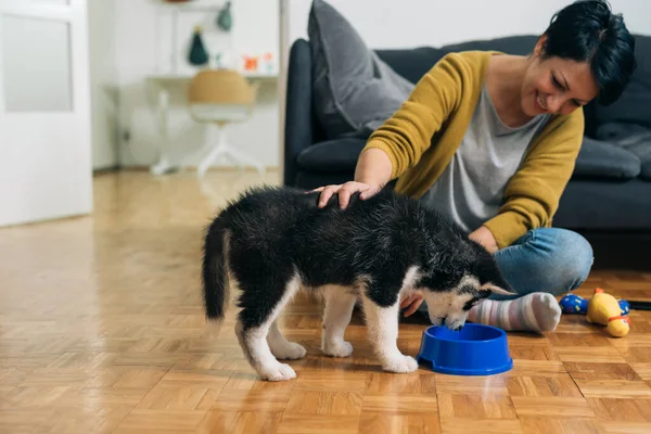 Kvinna Hemma Med Sin Valp Husky Mata Sin Hund Matare — Stockfoto