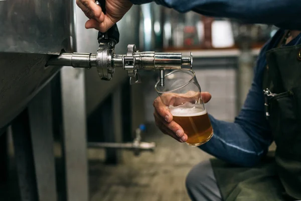 Пивоварний Завод Працює Своїй Крафтовій Пивоварні Він Виливає Пиво Склянку — стокове фото
